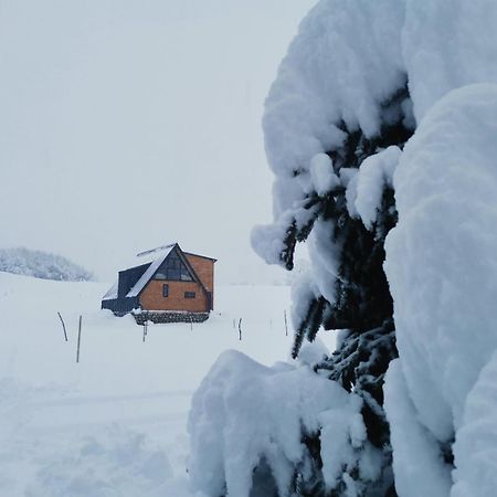 ŽabljakDurmitor Sunset别墅 外观 照片